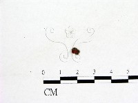 登錄號:F0001183藏品圖，第1張