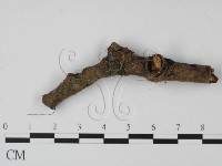 登錄號:F0001184藏品圖，第3張