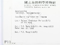 登錄號:F0001185藏品圖，第2張