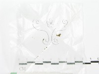 登錄號:F0001185藏品圖，第1張