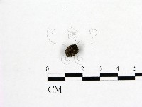 登錄號:F0001186藏品圖，第3張