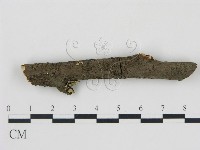 登錄號:F0001188藏品圖，第3張