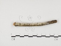 登錄號:F0001189藏品圖，第1張