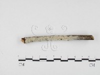 登錄號:F0001189藏品圖，第3張