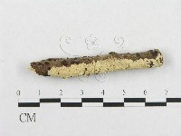 登錄號:F0001190藏品圖，第1張
