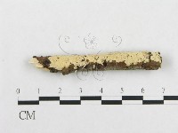 登錄號:F0001190藏品圖，第3張