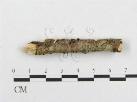 登錄號:F0001190藏品圖，第4張
