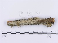 登錄號:F0001192藏品圖，第1張
