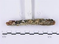 登錄號:F0001192藏品圖，第3張