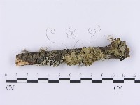 登錄號:F0001192藏品圖，第4張