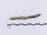 登錄號:F0001193藏品圖，第1張