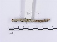 登錄號:F0001193藏品圖，第3張