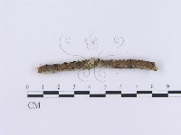 登錄號:F0001193藏品圖，第5張