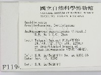 館號:F0001194藏品圖，第2張