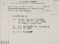 登錄號:F0001197藏品圖，第2張