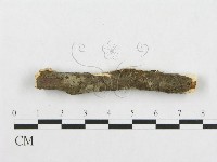 登錄號:F0001197藏品圖，第4張