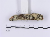 登錄號:F0001198藏品圖，第3張