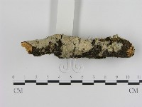 登錄號:F0001199藏品圖，第3張