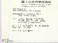 登錄號:F0001200藏品圖，第2張
