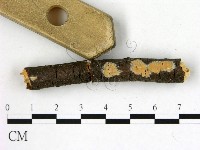 登錄號:F0001200藏品圖，第1張