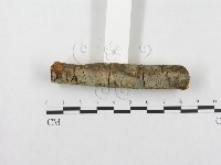 登錄號:F0001201藏品圖，第3張