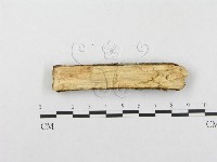 登錄號:F0001201藏品圖，第4張