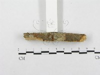 登錄號:F0001201藏品圖，第5張
