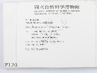 登錄號:F0001202藏品圖，第2張
