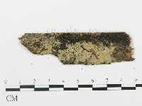 登錄號:F0001202藏品圖，第1張