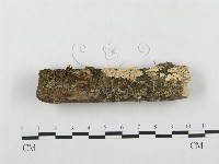 登錄號:F0001203藏品圖，第1張