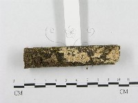 登錄號:F0001203藏品圖，第3張