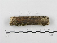 登錄號:F0001203藏品圖，第4張