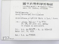 登錄號:F0001205藏品圖，第2張