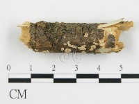 登錄號:F0001205藏品圖，第1張