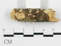 登錄號:F0001205藏品圖，第3張