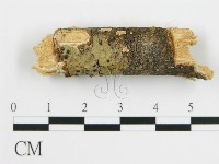 登錄號:F0001205藏品圖，第4張