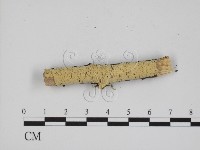 登錄號:F0001207藏品圖，第1張