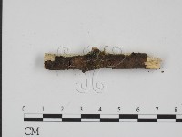 登錄號:F0001207藏品圖，第3張