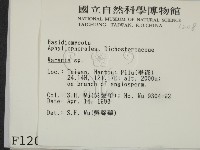 登錄號:F0001208藏品圖，第2張