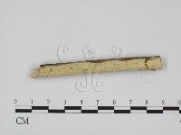 登錄號:F0001208藏品圖，第3張