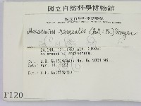 登錄號:F0001209藏品圖，第2張