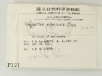 登錄號:F0001210藏品圖，第2張