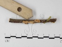 登錄號:F0001210藏品圖，第4張