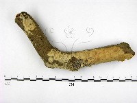 登錄號:F0001211藏品圖，第1張