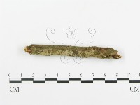 登錄號:F0001212藏品圖，第3張