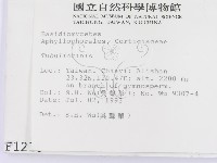 登錄號:F0001213藏品圖，第2張