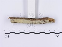 登錄號:F0001213藏品圖，第3張