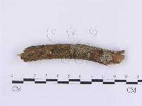登錄號:F0001213藏品圖，第4張