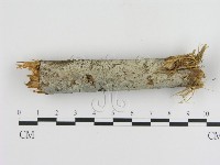 登錄號:F0001215藏品圖，第1張