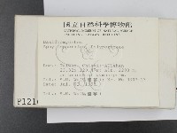 登錄號:F0001216藏品圖，第2張